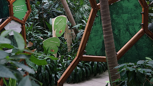 Ein Blick durch den Dschungel der Biosphäre Potsdam auf einen Aufsteller des neuen Nachhaltigkeitspfad.