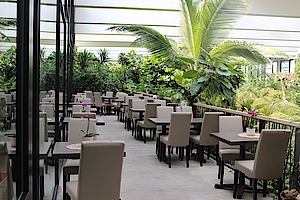 Restaurant mit Blick in den Dschungel der Biosphäre Potsdam