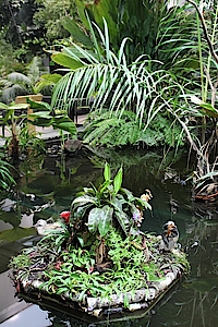 Karnivorenausstellung in Biosphäre Potsdam