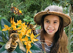 Bienenausstellung in der Biosphäre Potsdam